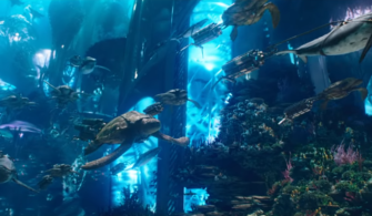Aquaman-2-cıkıs-tarihi-www.teknomercek.com